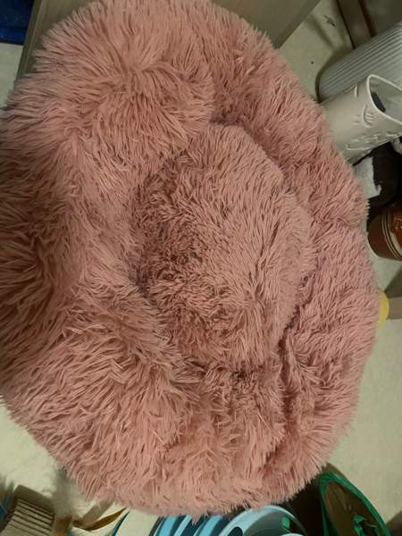 Uusi kissa tarvikkeet Vantaa - valokuva 1