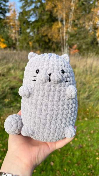 Virkattu Kissa Lempäälä - valokuva 2