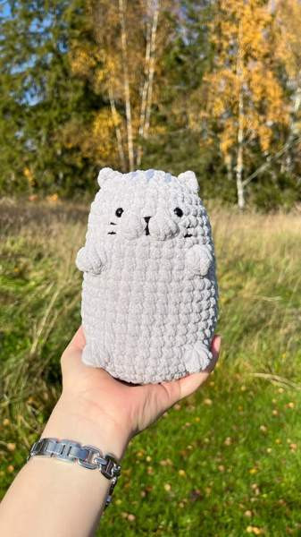 Virkattu Kissa Lempäälä - valokuva 1