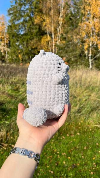 Virkattu Kissa Lempäälä - valokuva 3