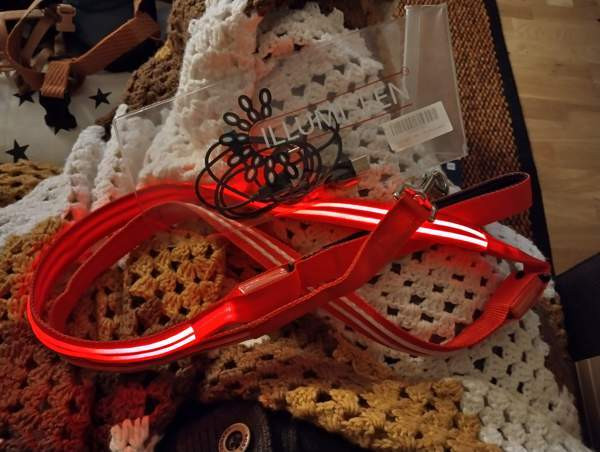 Talutin valolla Yloejaervi - photo 1