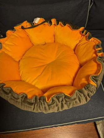 Uusi koiranpeti 35 cm Lahti - valokuva 1