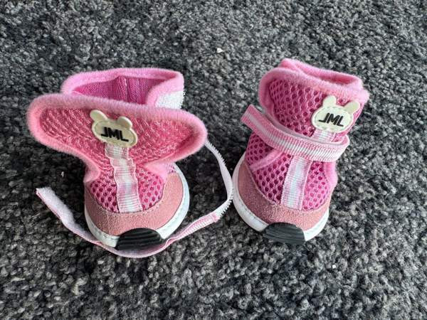 koiran kengät Turku - valokuva 2