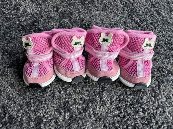 koiran kengät Turku - valokuva 1