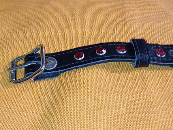 Koiran kaulapanta Tuusula – foto 2