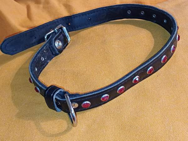 Koiran kaulapanta Tuusula – foto 1