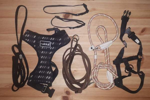 Pentuhihnat, valjaat ja pannat Kotka – foto 1