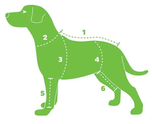 Valjaat ja panta Woolly Wolf Woodland Eura - photo 8