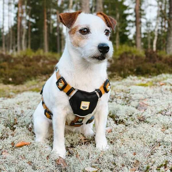 Valjaat ja panta Woolly Wolf Woodland Eura - photo 5