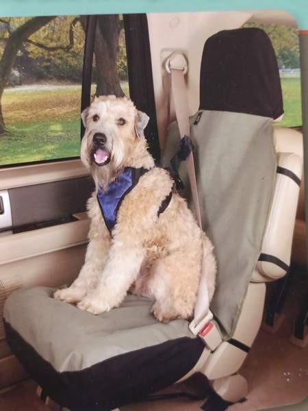 Penkinsuoja Eura - photo 1