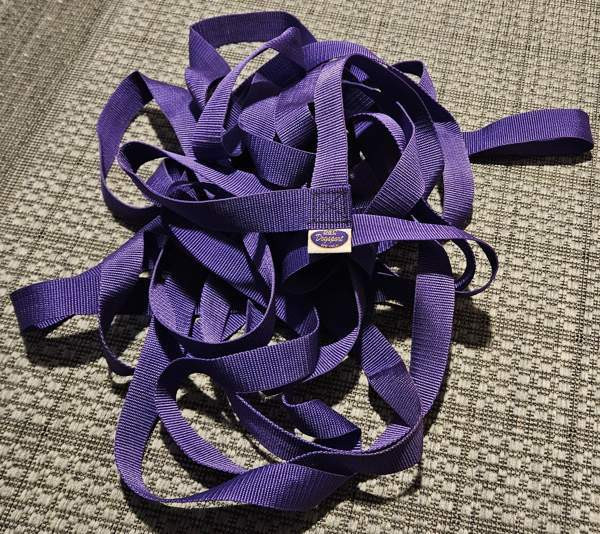 Vähänkäytetty Dogsport ruutunauha (toko) Naantali - изображение 1