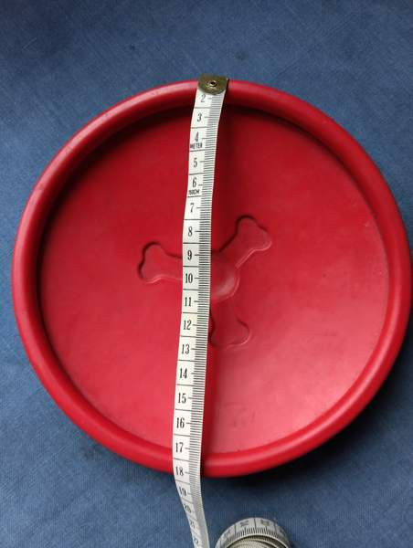 Koiran frisbee Porvoo – foto 3