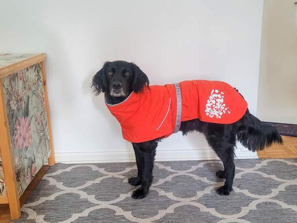 Hurtta koiran sadetakki 50 cm Лахти - изображение 2