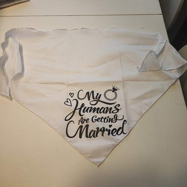 Huivi eläimelle hääjuhlaan Turku – foto 2