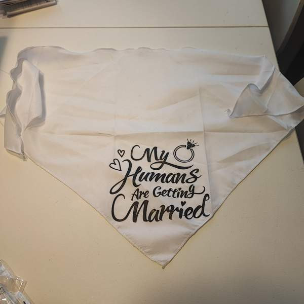 Huivi eläimelle hääjuhlaan Turku – foto 1