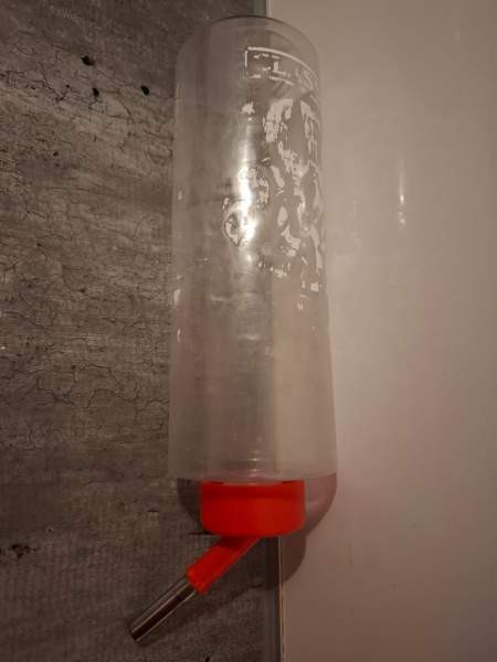 Jyrsijän juomapullo Masku - valokuva 1