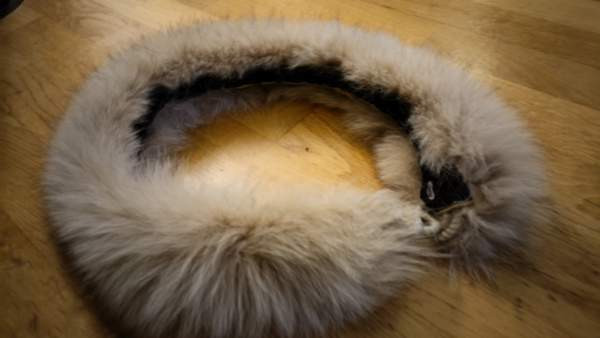 Minkkipuuhka, minkin nahka puuhka Espoo - valokuva 3