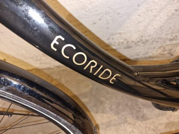2023 Ecoride Ambassador X AXS H-9 Vantaa - photo 4