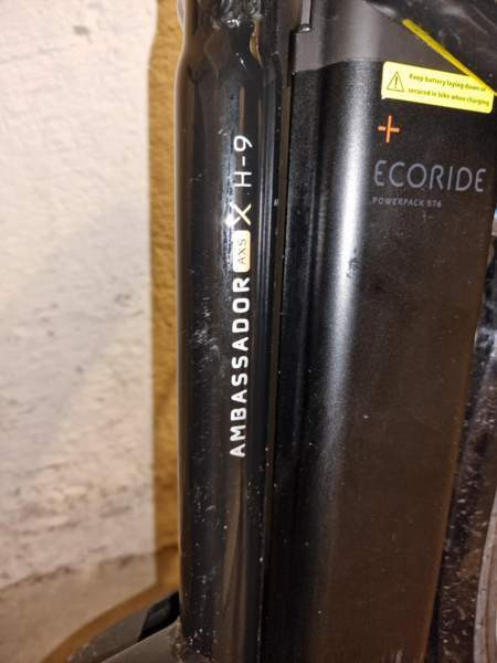 2023 Ecoride Ambassador X AXS H-9 Vantaa - photo 5