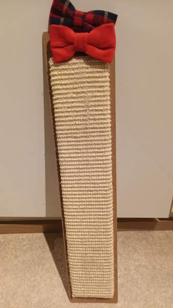 Kissan raapimislauta Вантаа - изображение 2