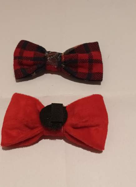 Kissan raapimislauta Вантаа - изображение 5