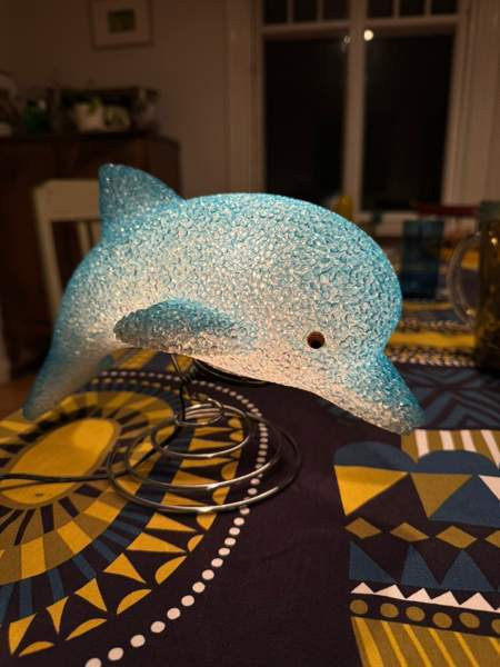 Ihana delfiinilamppu Espoo - valokuva 3