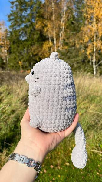 Virkatut kissat Lempaeaelae - photo 7