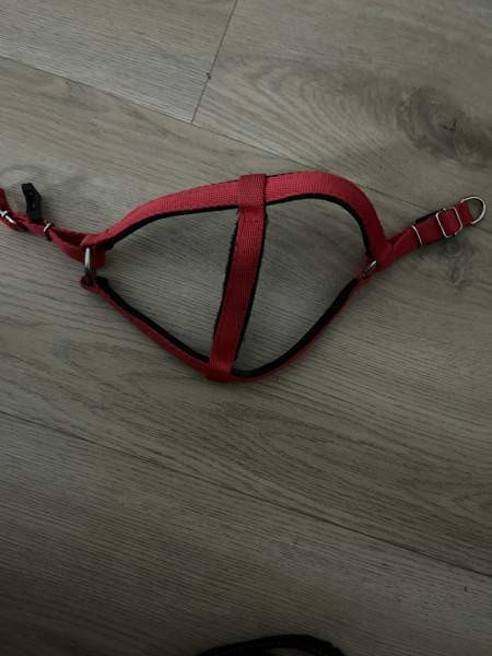 koiran hihna ja/tai valjaat Vantaa - photo 3