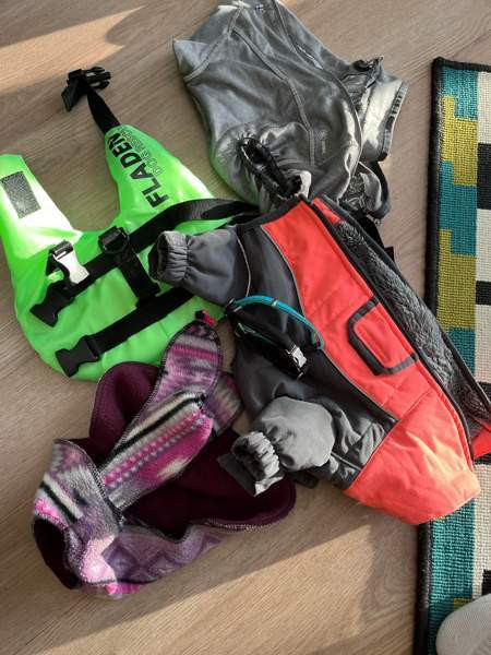 Koiratakkeja ja muuta! Vantaa – foto 1