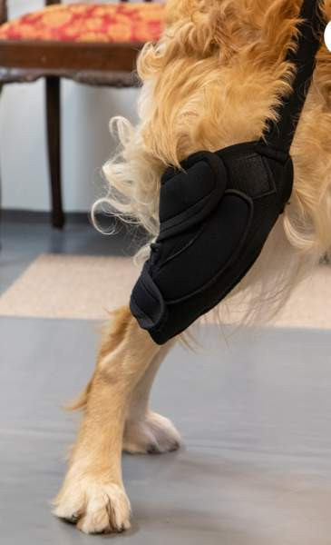 Taituki Polvituki L koko, oikea jalka Лемпяаля - изображение 1