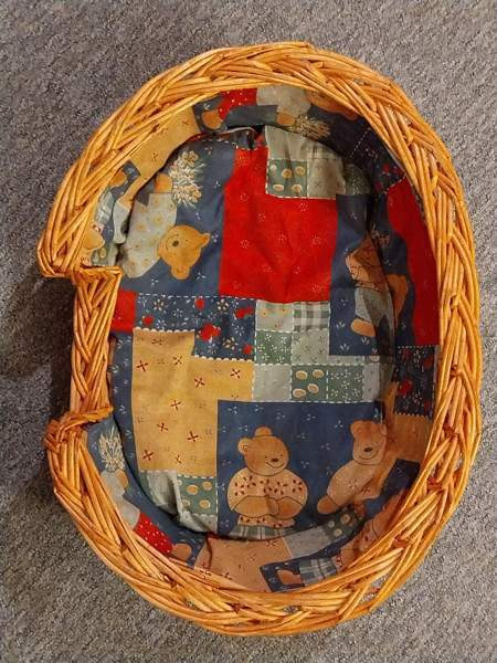 Koiran peti Raisio - valokuva 2