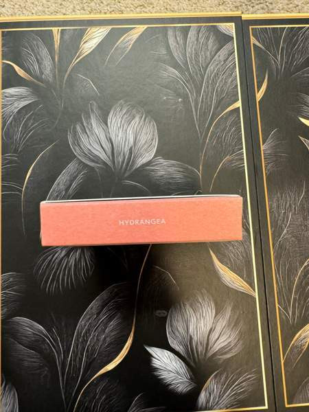 Rose Inc poskipuna hydrangea Espoo – foto 5