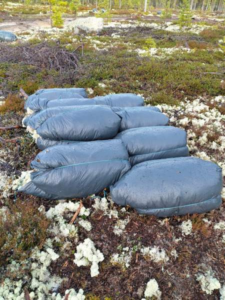 Poronjäkälä Kajaani – foto 1