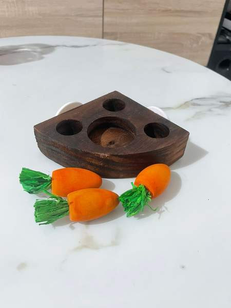 Kanin aktivointilelu Valkeakoski - valokuva 3