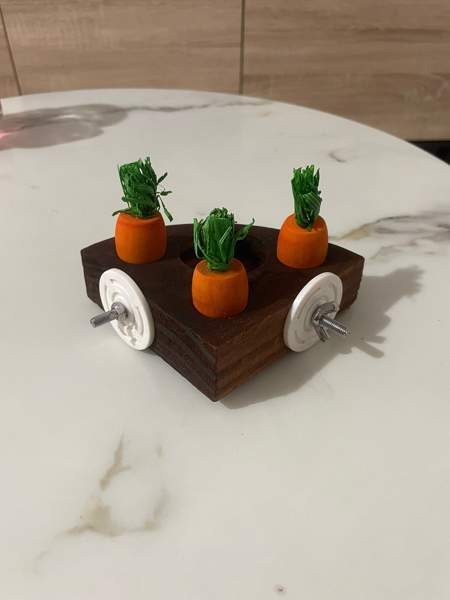 Kanin aktivointilelu Valkeakoski - valokuva 2