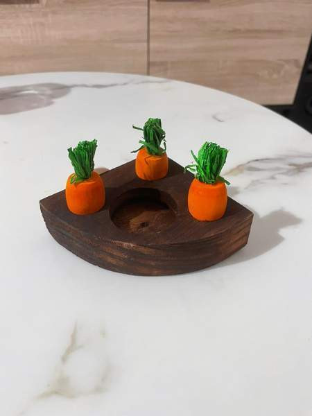 Kanin aktivointilelu Valkeakoski - valokuva 1