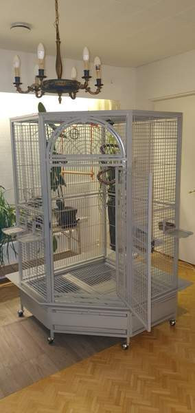 Lintuhäkki iso Oulu - valokuva 2