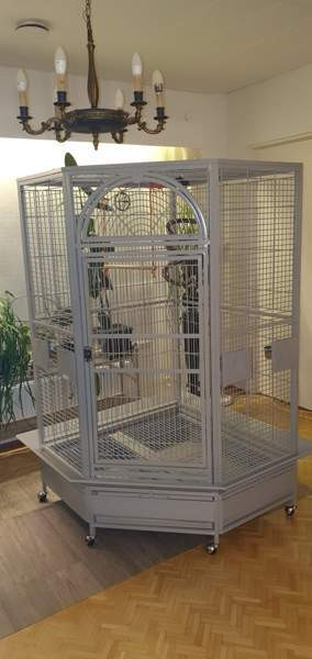 Lintuhäkki iso Oulu - valokuva 1