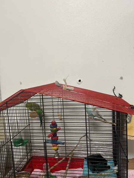 Undulaatti Turku - photo 3