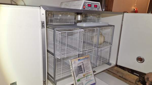 Hautomakone ja kuoriutumiskone Nurmijaervi – foto 7