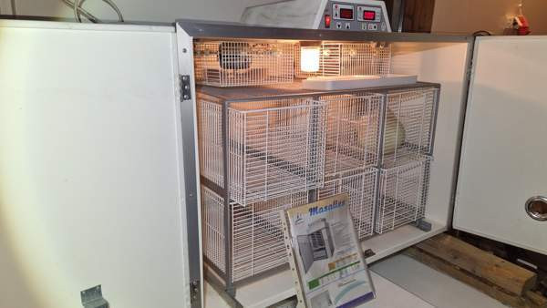 Hautomakone ja kuoriutumiskone Nurmijaervi – foto 2