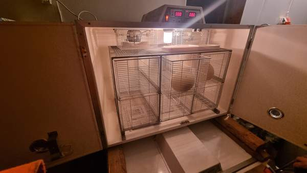 Hautomakone ja kuoriutumiskone Nurmijaervi – foto 4