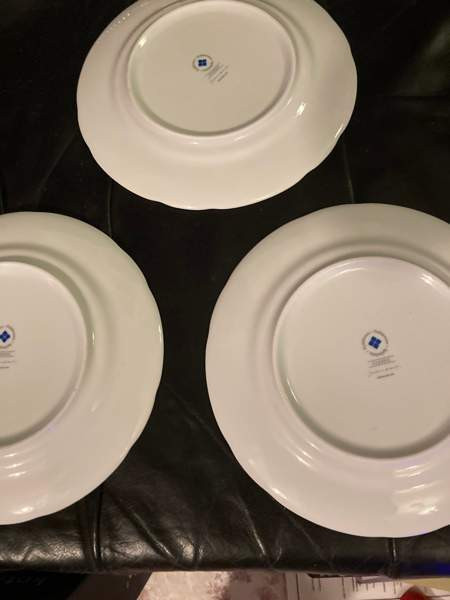 Apilanlehti lautaset Helsinki – foto 3