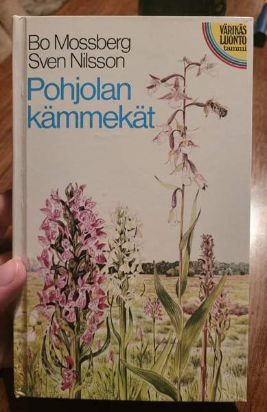 Pohjolan kämmekät Ilomantsi - valokuva 1