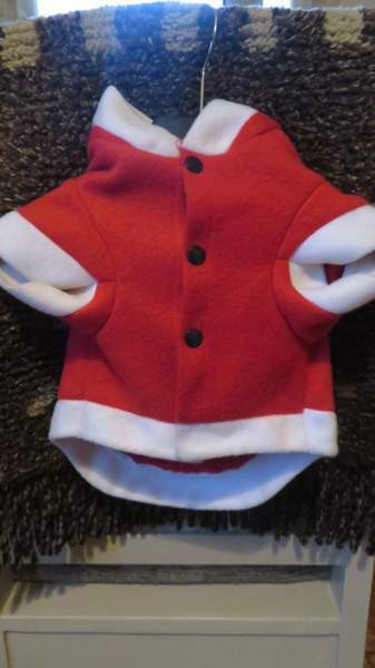 Pienen koiran jouluasu Eurajoki - изображение 1