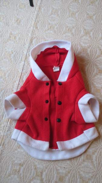 Pienen koiran jouluasu Eurajoki - изображение 7