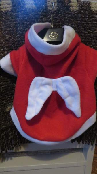 Pienen koiran jouluasu Eurajoki - изображение 5