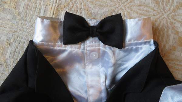 Pienen koiran frakkiasu Eurajoki - изображение 2