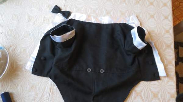 Pienen koiran frakkiasu Eurajoki - изображение 6