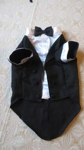 Pienen koiran frakkiasu Eurajoki - изображение 1
